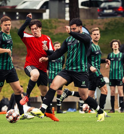 fsmstoramossen-6899
